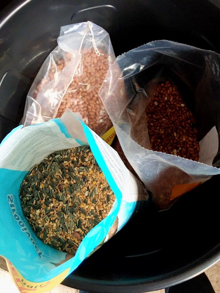 WhatsNext tuin vogeleten